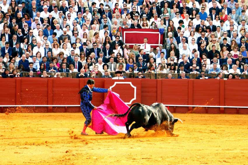 Una nueva suspensión amenaza las corridas de toros en la Ciudad de México