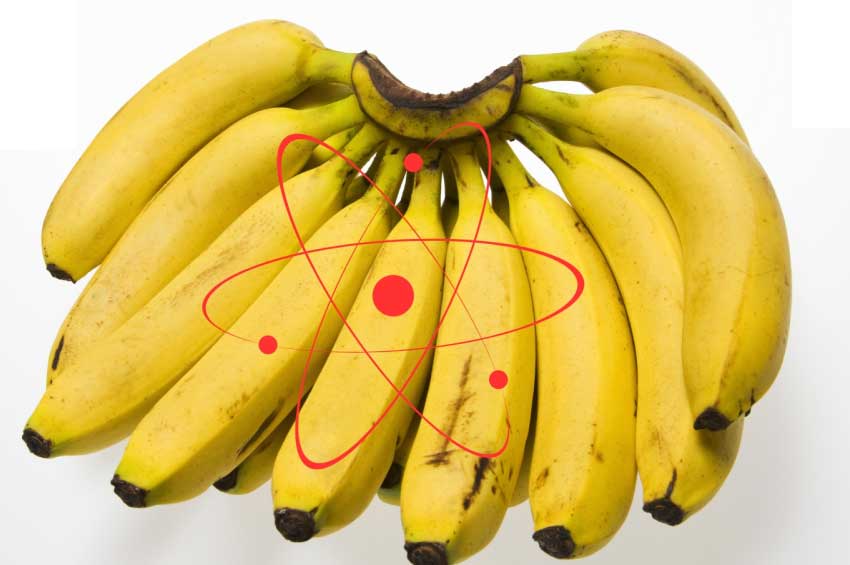 ¿Qué tan radiactivos son los plátanos que consumimos comúnmente? La ciencia lo revela