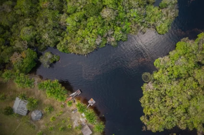 Hubo un animal que existió antes de los dinosaurios y acaban de encontrar sus fósiles en Brasil