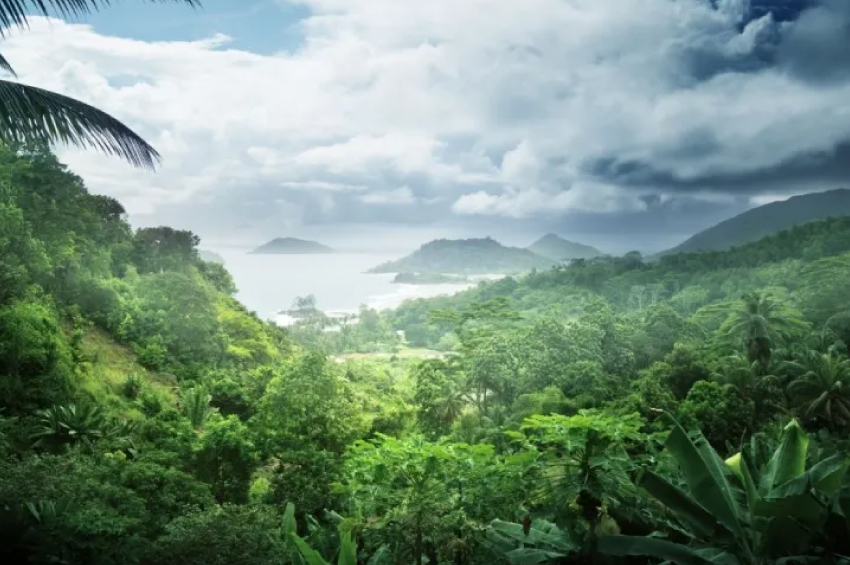 Científicos descubren civilización de 2,500 años oculta en la selva de Ecuador