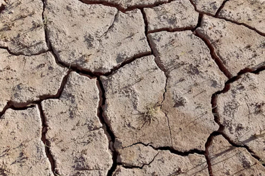 Alerta de calor extremo en Estados Unidos: las ciudades más afectadas