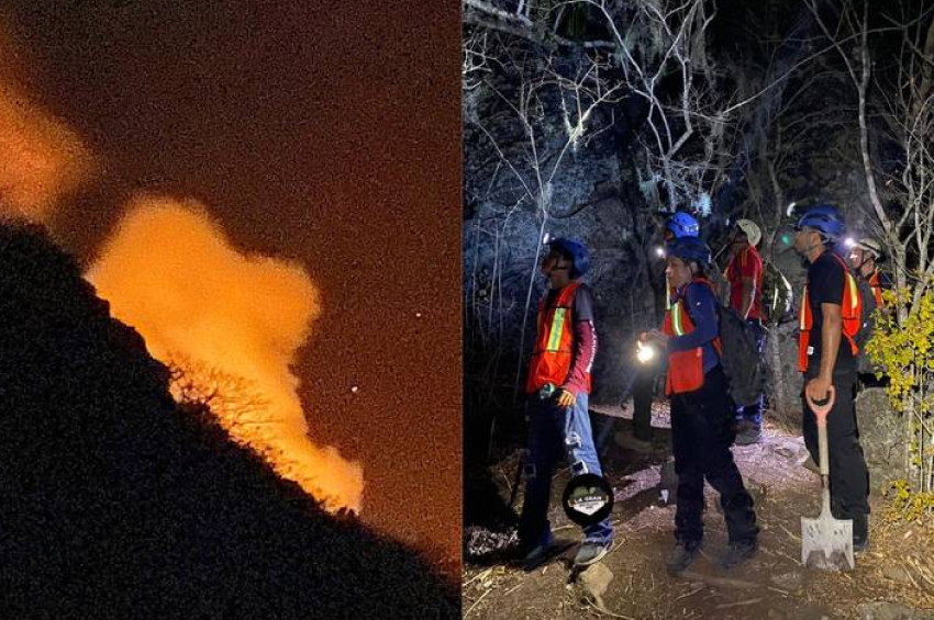 Incendio en Cerro del Bernal de Tamaulipas: brigadistas intentan controlar el fuego