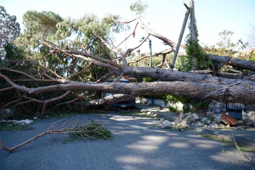 Huracán Beryl baja a categoría 1 en México, pero mantiene peligrosidad