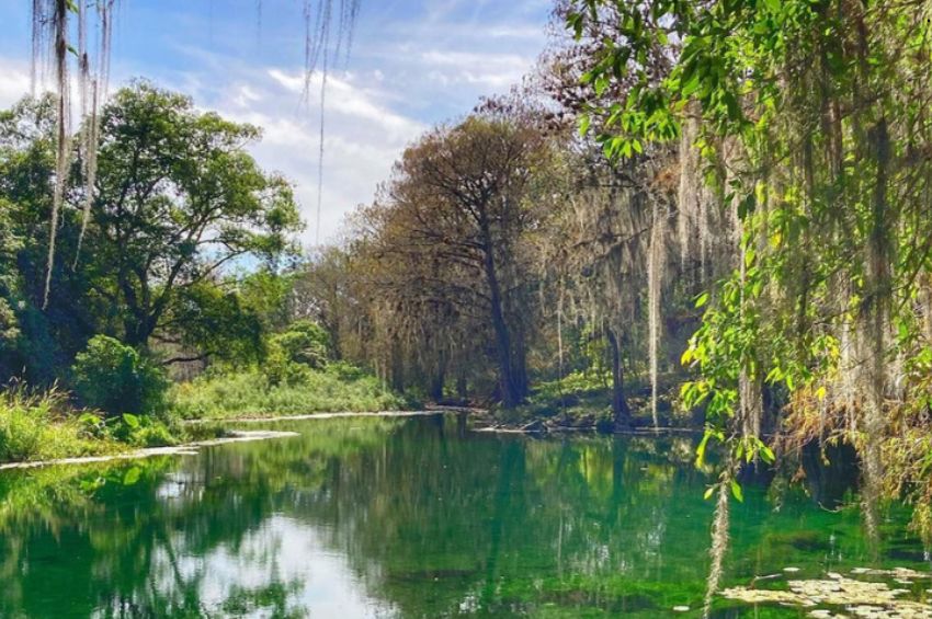 Explora el caudal del río Guayalejo, un refrescante atractivo natural en Tamaulipas