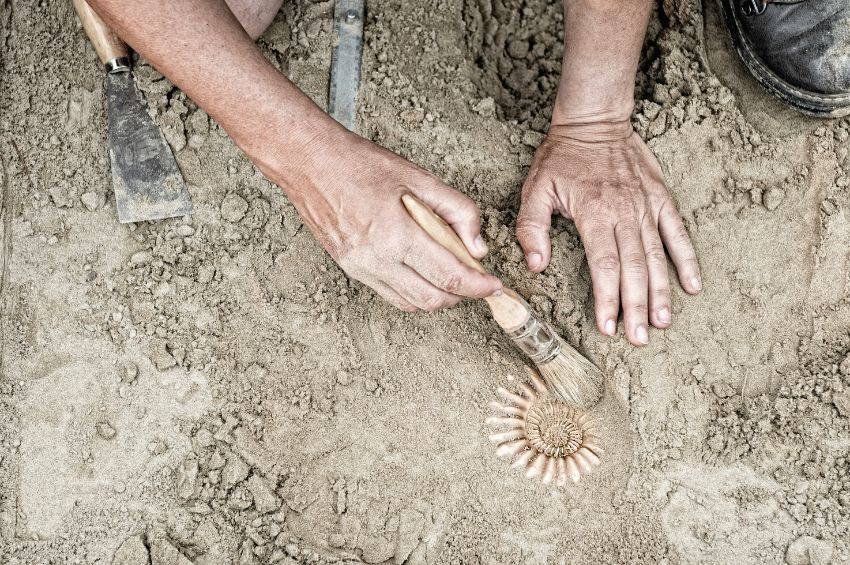 Excavaban un yacimiento y encontraron una botella con un mensaje escrito hace 200 años