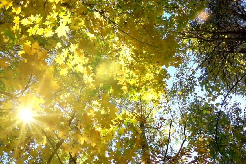 ¿Listo para un lunes soleado en Tamaulipas?