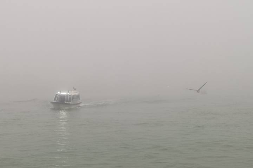 Frío extremo en Tamaulipas: pronostican ráfagas de viento 110 km/h y temperaturas de hasta 2°C