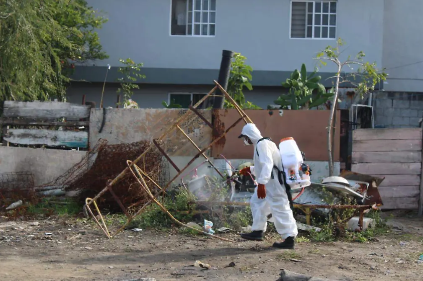 Alerta sanitaria en Tamaulipas: la zona conurbada de Tampico concentra casos de dengue