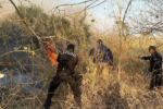 Áreas naturales protegidas de Tamaulipas en riesgo: cinco incendios forestales
