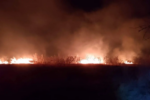 Incendio forestal en González, Tamaulipas: van 500 hectáreas afectadas