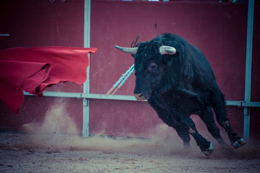 Debe buscarse esquema cultural en corridas de toros: Sheinbaum