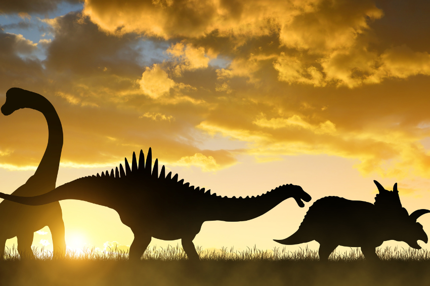 6 animales que podrían volver de la extinción 6 animales que podrían volver de la extinción