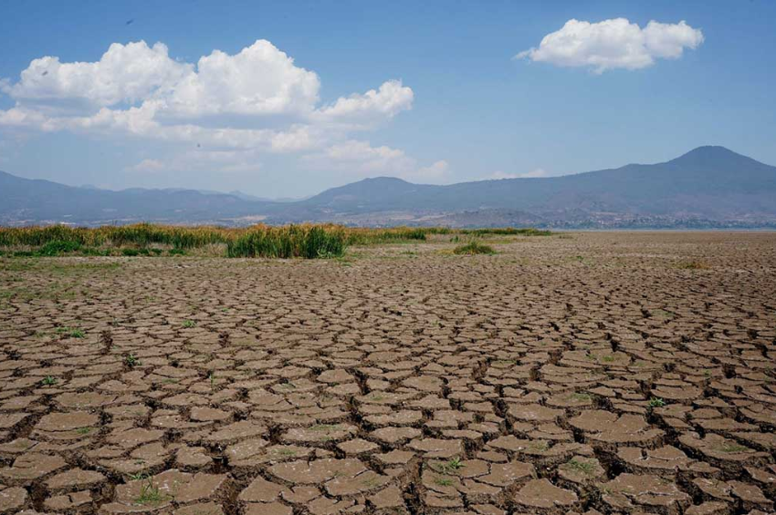 Sequía en México 2025: estados afectados, pérdidas agrícolas y crisis de agua Sequía en México 2025: estados afectados, pérdidas agrícolas y crisis de agua