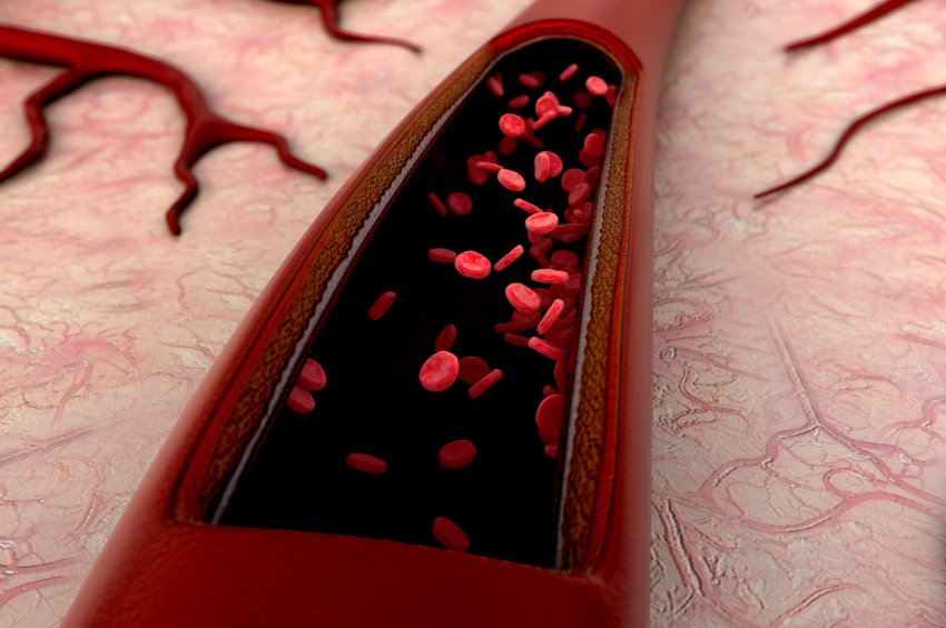 Científicos japoneses logran crear sangre artificial compatible con cualquier tipo sanguíneo Científicos japoneses logran crear sangre artificial compatible con cualquier tipo sanguíneo