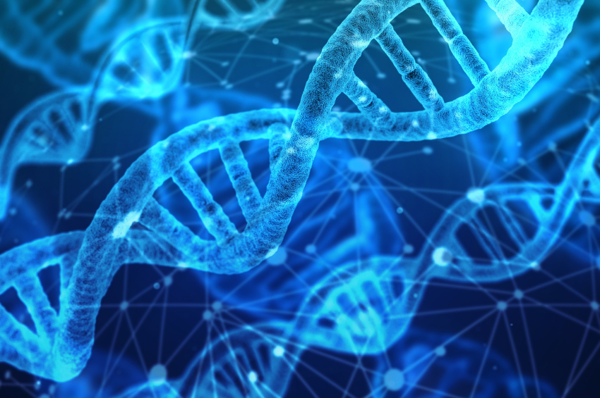 Un salto sin precedentes en la edición genética: ya es posible insertar genes completos en el ADN humano Un salto sin precedentes en la edición genética: ya es posible insertar genes completos en el ADN humano