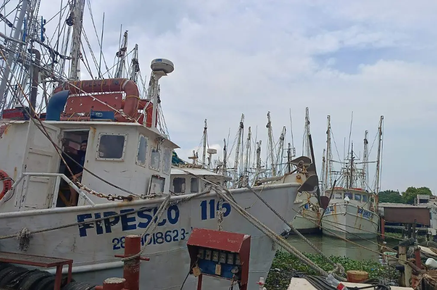 Altos costos, pocas ganancias: la actividad pesquera de Tamaulipas en crisis Altos costos, pocas ganancias: la actividad pesquera de Tamaulipas en crisis