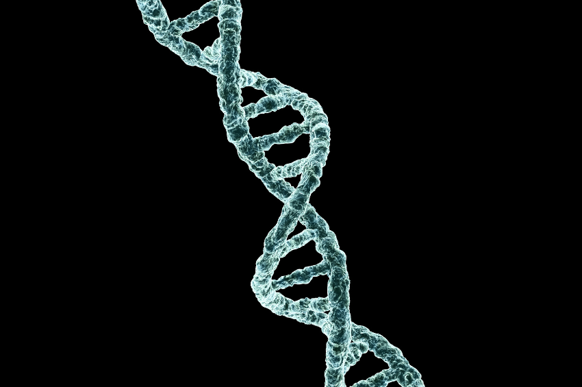 Estudios sugieren que el ADN neandertal podría relacionarse con una anomalía cerebral en humanos modernos