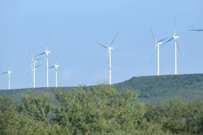 IA revoluciona parques eólicos en Tamaulipas: la usan hasta para prevenir fallas en turbinas