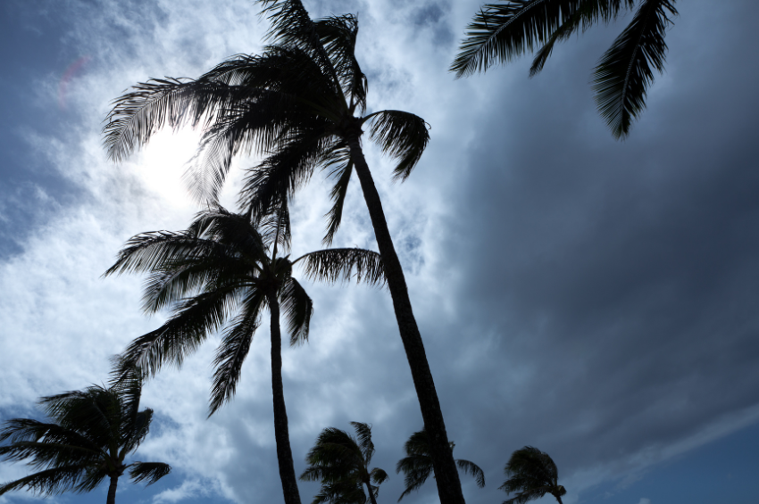 Huracán Erin mantiene amenaza de oleaje peligroso en la costa este de EE.UU.