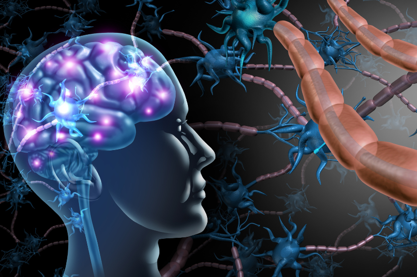 Desarrollan una técnica para detectar niveles de hierro en el cerebro y predecir el deterioro cognitivo