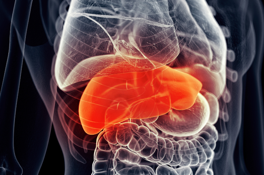 El ejercicio que ayuda a prevenir el hígado graso