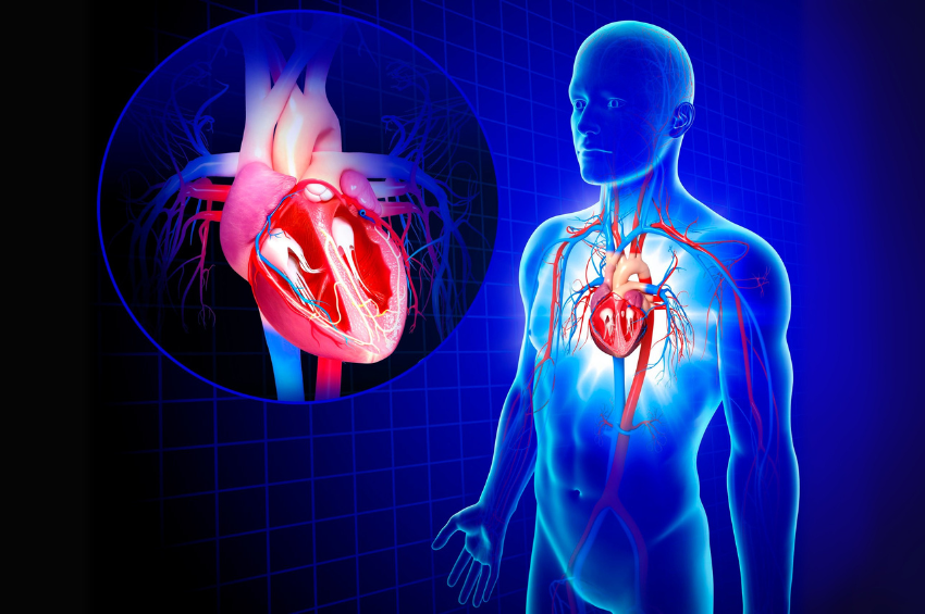 Crean herramienta inteligente para detectar enfermedades cardiacas en etapa temprana