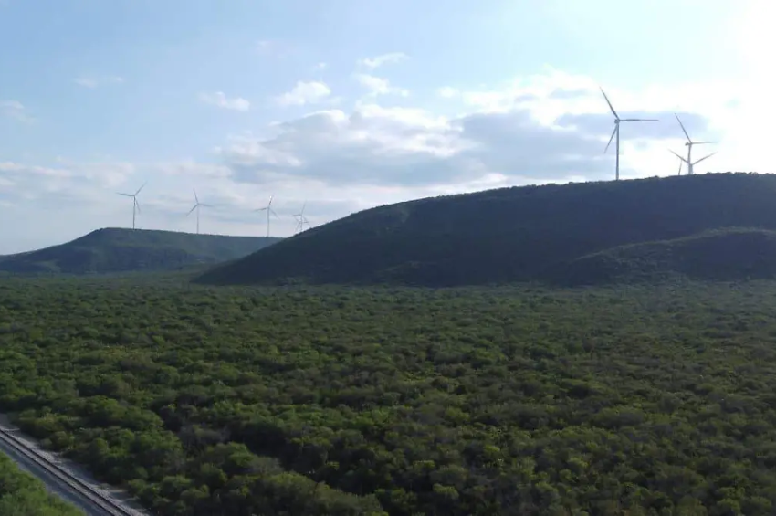 Tamaulipas atrae inversiones en energía renovable: Nuevo Laredo, Matamoros y Güémez con proyectos eólicos