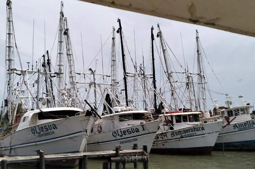 Pescadores de Tamaulipas se preparan para levantar la veda del camarón tras siete meses de inactividad