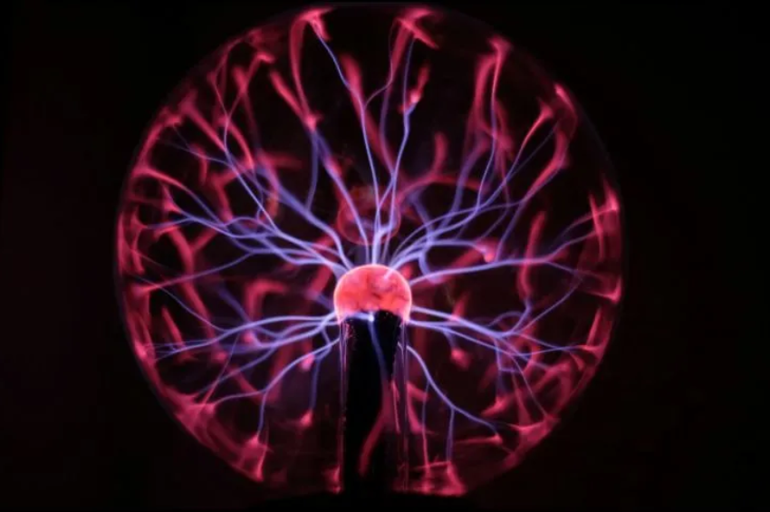 Primer atlas del cerebro en formación se encuentra en desarrollo por científicos