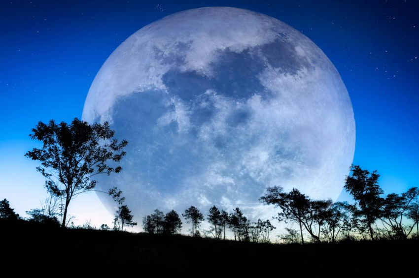 La superluna más grande de 2025 y lluvias de meteoros llegan en noviembre