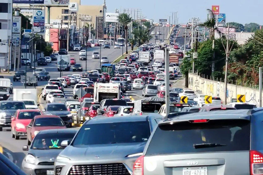 Adiós a la licencia permanente en Tamaulipas: así será la reposición obligatoria