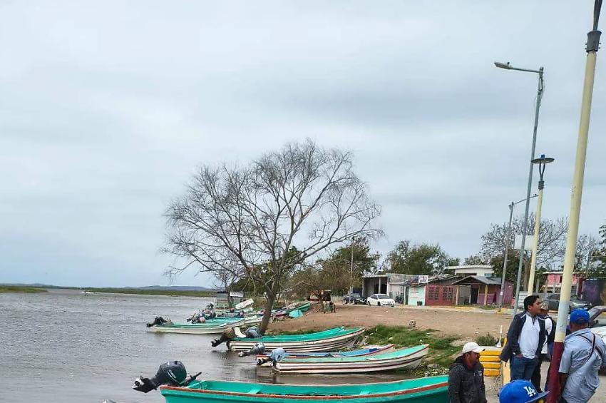 De Tamaulipas a Canadá: crece la demanda de solicitudes para trabajar como jornalero agrícola