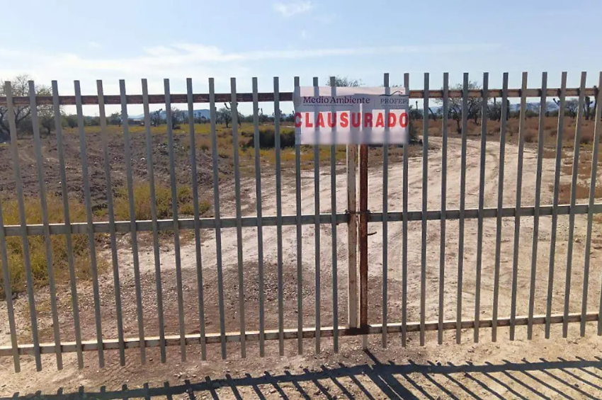 Profepa clausura terrenos en Tamaulipas por actividad forestal no autorizada