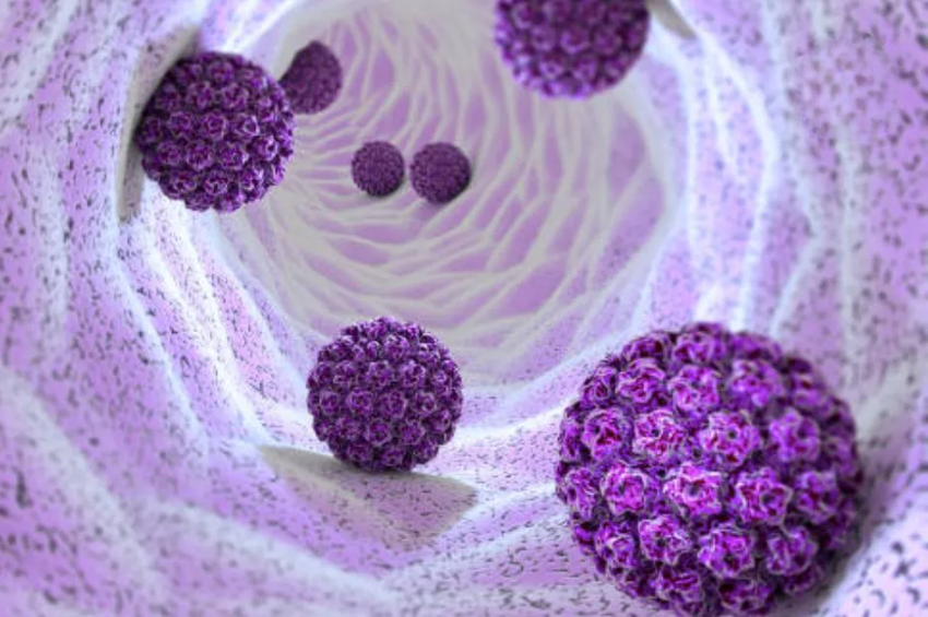 Científicas de la UNAM crean prueba para detectar el VPH en solo 30 minutos