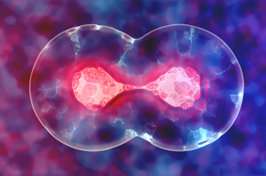 ¡Histórico! Japón aprobará tratamientos con células madre para tratar el Parkinson y cardiopatías