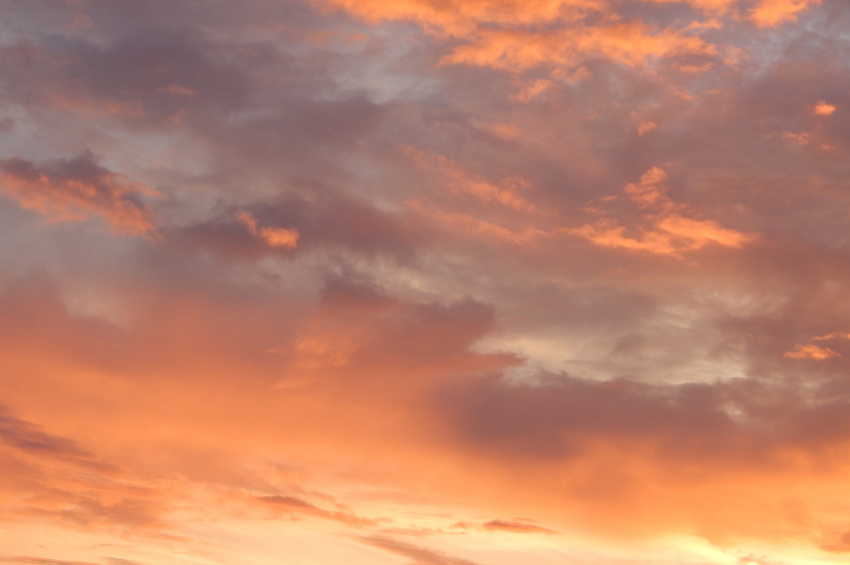 Calor y tormentas: jornada de contrastes climáticos en México