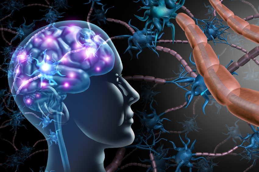 Claves del cerebro: la ciencia avanza en la búsqueda para frenar el envejecimiento cognitivo