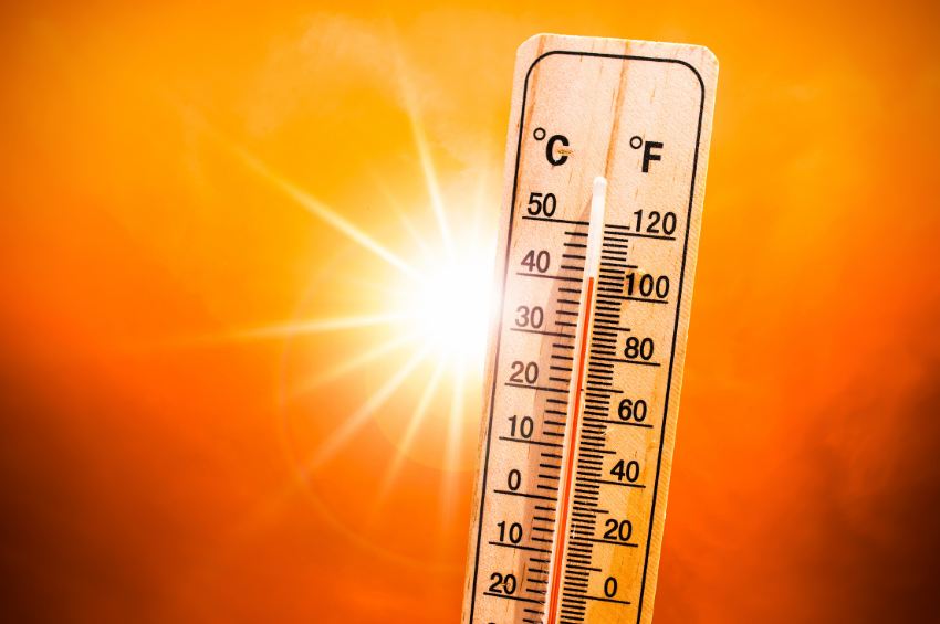 Temperaturas extremas cobran primera víctima en Tamaulipas y encienden alerta sanitaria