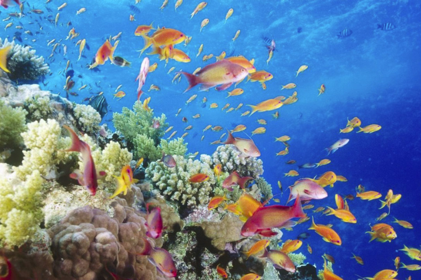 América Latina pone la mira en los océanos ante la presión del cambio climático