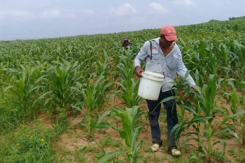 Cambio climático modifica los ciclos agrícolas en el noreste de México y refuerza estrategias de sustentabilidad Cambio climático modifica los ciclos agrícolas en el noreste de México y refuerza estrategias de sustentabilidad