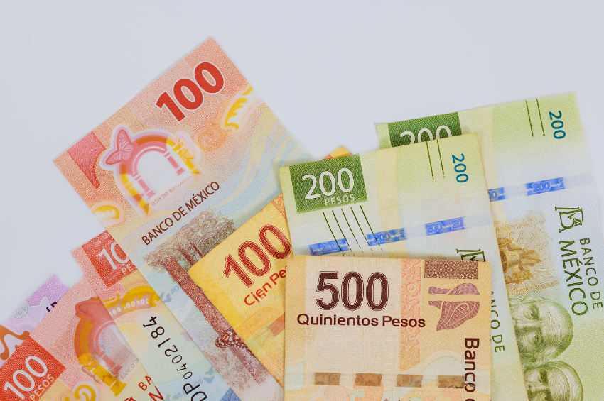 Municipios de Tamaulipas recibirán más de 13,500 millones de pesos en participaciones federales durante 2026 Municipios de Tamaulipas recibirán más de 13,500 millones de pesos en participaciones federales durante 2026