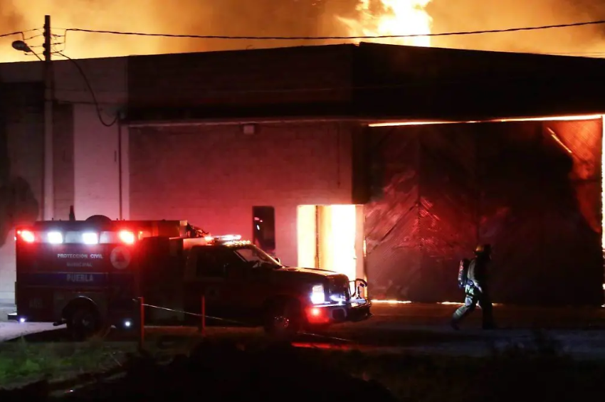 Perro activa una tostadora por accidente y provoca incendio que deja tres mascotas sin vida en Maryland
