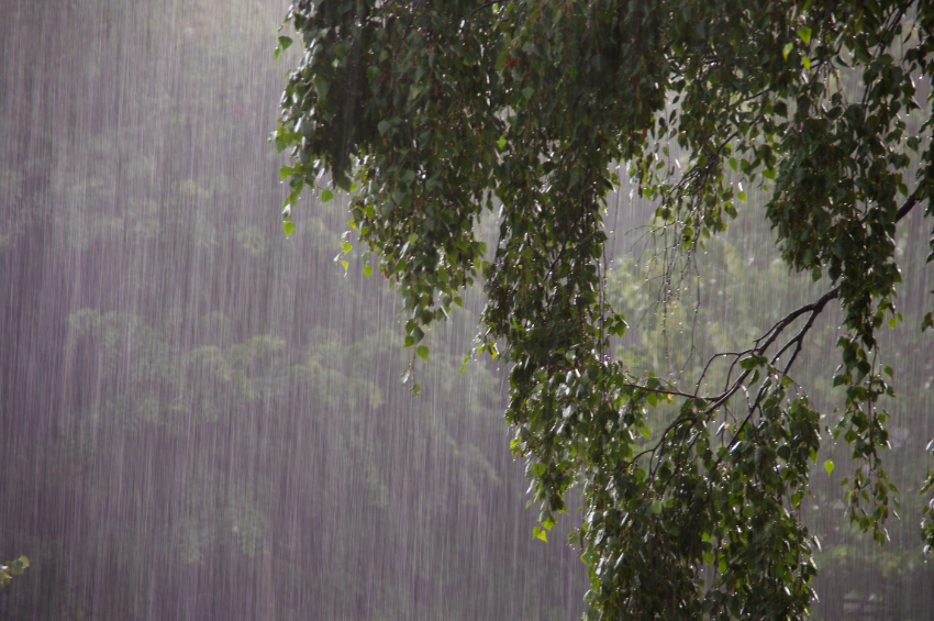Monzón mexicano mantiene alerta por lluvias intensas en nueve estados del país