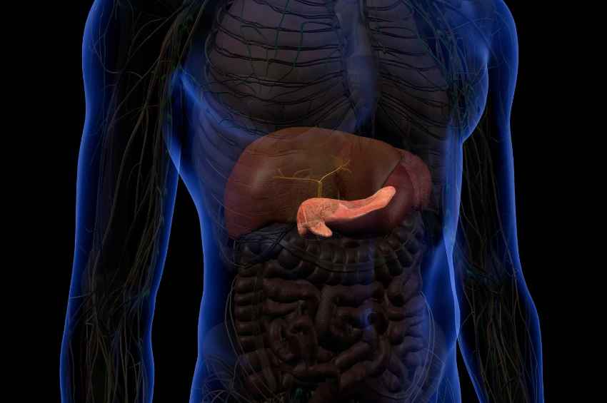 Ensayo clínico explora el potencial del paricalcitol contra el cáncer de páncreas Ensayo clínico explora el potencial del paricalcitol contra el cáncer de páncreas