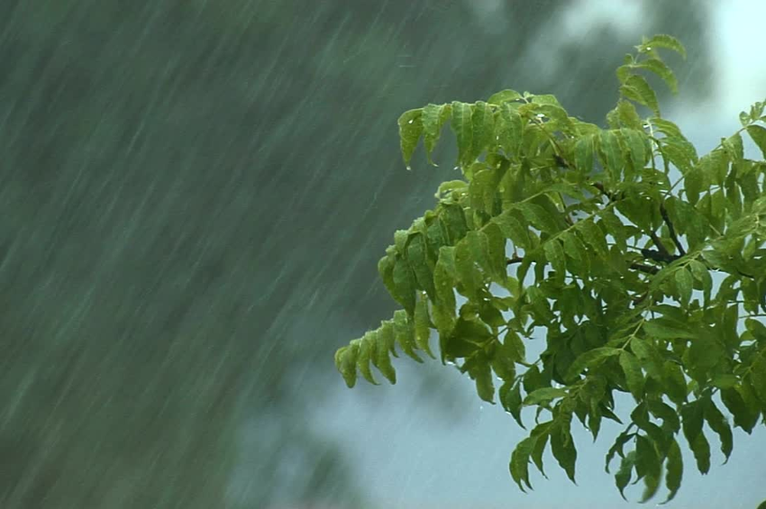 Lluvias intensas mantienen bajo vigilancia al sureste de Tamaulipas Lluvias intensas mantienen bajo vigilancia al sureste de Tamaulipas